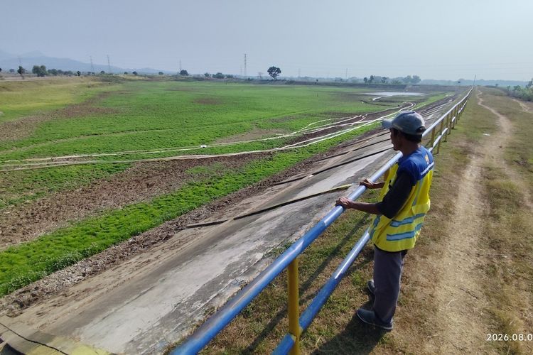 Terparah di Tahun ini, Embung Geyongan Cirebon Mengering, Puluhan Hektar Sawah Krisis Air