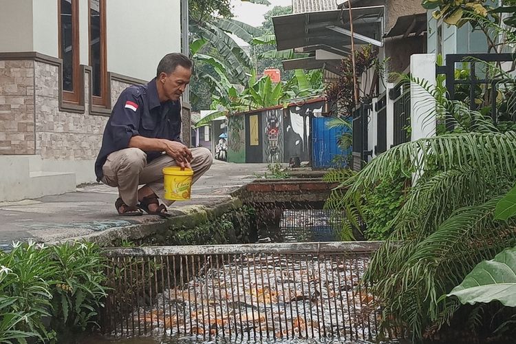 Ketua Ecovillage Bendungan Asri Ramah Berbudaya Lingkungan (Baraya) Irfah Safitri menunjukkan sembari memberi makan ikan di dalam selokan depan rumahnya di Kampung Naringgul Ciasin, Desa Bendungan, Kecamatan Ciawi, Bogor, Jawa Barat, Selasa (29/10/2019)