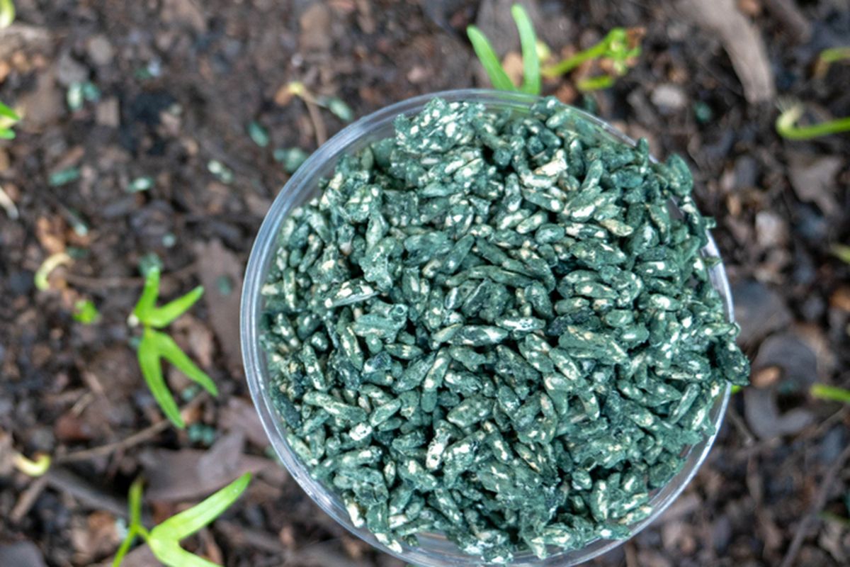 Ilustrasi Trichoderma sp sebagai pupuk organik dan pestisida alami untuk tanaman.