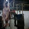 Pengelola RPH Sebut Kenaikan Harga Daging Sapi Disebabkan Naiknya Harga Pakan Ternak