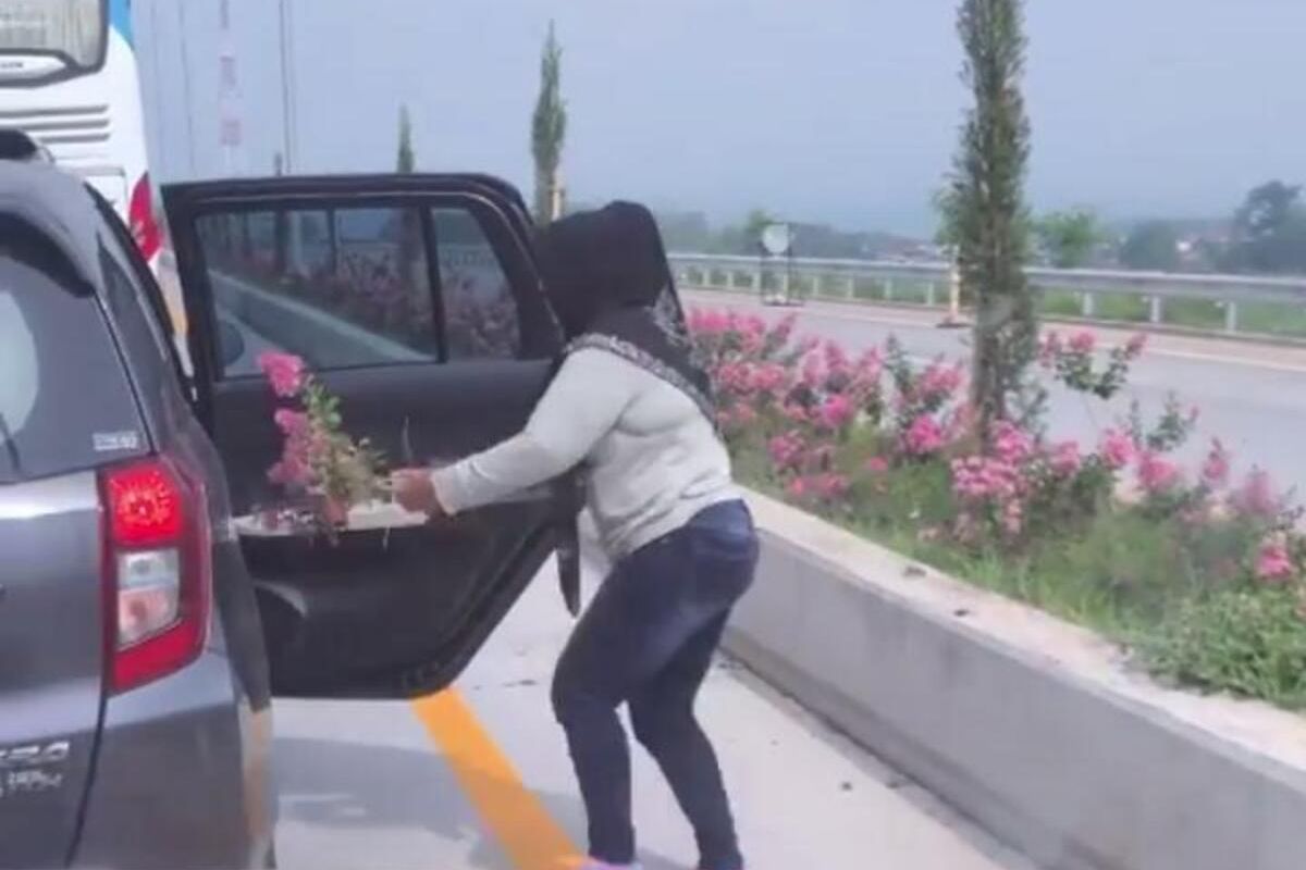 Tangkap layar dari video yang viral yang menampilkan seorang perempuan penumpang mobil mencuri bunga di Tol Pandaan-Malang.