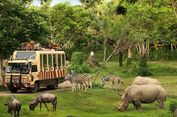 Taman Safari Indonesia Siap Dukung Transformasi Kebun Binatang Bandung