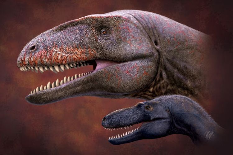 Ulughbegasaurus: Raksasa Pemangsa yang Mengintimidasi Leluhur T. rex