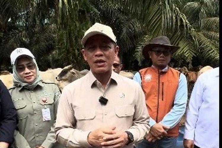 Wamenko Pangan: Integrasi Sawit-Sapi Cocok untuk Breeding