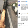 Terjadi Insiden Maut Pemotor Tertimpa Pohon Tumbang di Pondok Indah