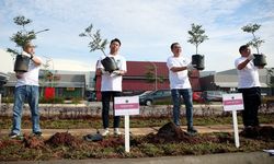 Aeon Indonesia dan Eastvara Tanam Pohon, Dukung Ruang Hijau Urban