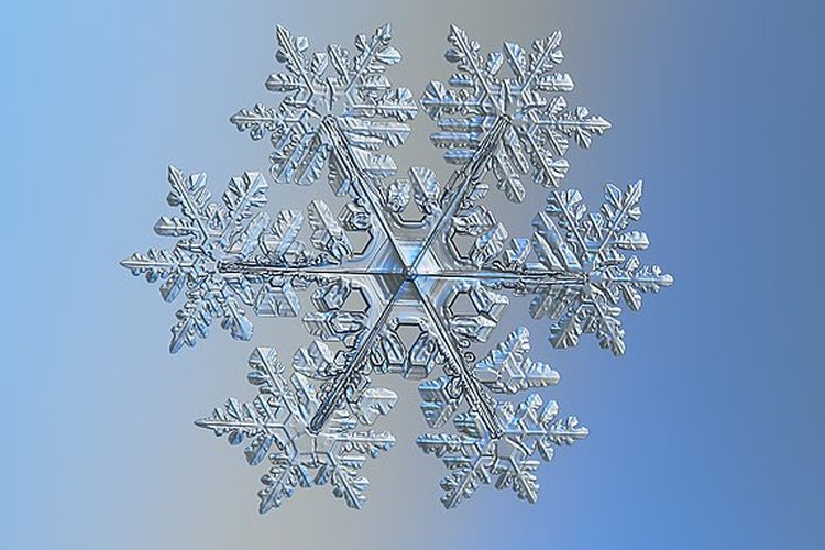Snowflakes atau bunga salju.