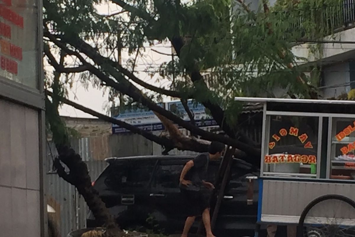 Sebuah mobil Avanza tertimpa pohon yang tumbang di PAL, Jalan akses UI, Kelapa Dua, Depok, Jawa Barat, pada Senin (18/10/2021) sore. 