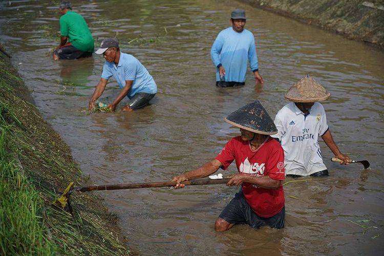 Sejumlah petani membersihkan sampah di Selokan Mataram, Tirtomartani, Kalasan, Sleman, DI Yogyakarta, Jumat (21/2/2020). Ratusan petani bersama Balai Besar Wilayah Sungai Serayu Opak (BBWSO), TNI dan Polri bekerja sama membersihkan sampah di Selokan Mataram menyusul banyaknya warga yang membuang sampah serta mengumumkan sayembara berhadiah bagi yang menangkap warga tersebut.