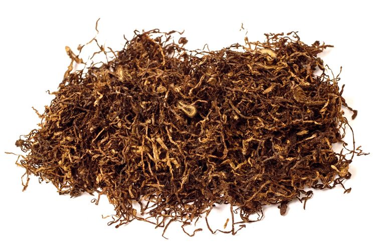 Ilustrasi tembakau kering. 