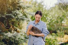 Sidak Rumah Nenek yang Roboh Dibongkar Paksa, Armuji: Tindakan Ini Bisa Dikecam Satu Indonesia