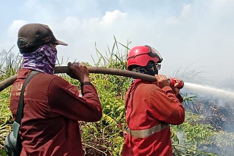 Data Kemenhut: Hotspot Karhutla Nasional Turun, Tapi Kalteng Masih Membara