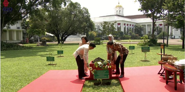 Indonesia's President Joko Widodo (right) and Philippine President Ferdinand Marcos Jr (left) during a tree planting ceremony at the Bogor Presidential Palace near Jakarta. Also present is Indonesian First Lady Iriana Joko Widodo (2nd right) and Philippine First Lady Louise Araneta-Marcos (2nd left). 