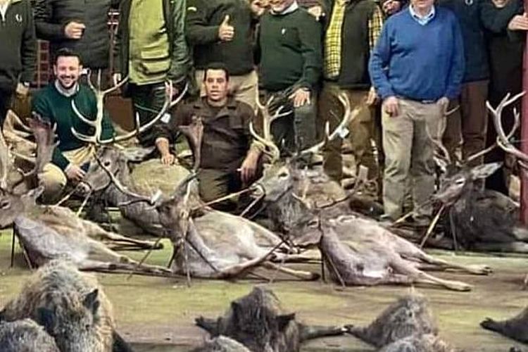 Para pemburu dari Spanyol berfoto bersama rusa dan babi hutan hasil buruan mereka. Otoritas Portugal mengatakan, sebanyak 540 rusa dan babi hutan telah dibantai oleh para pemburu tersebut.