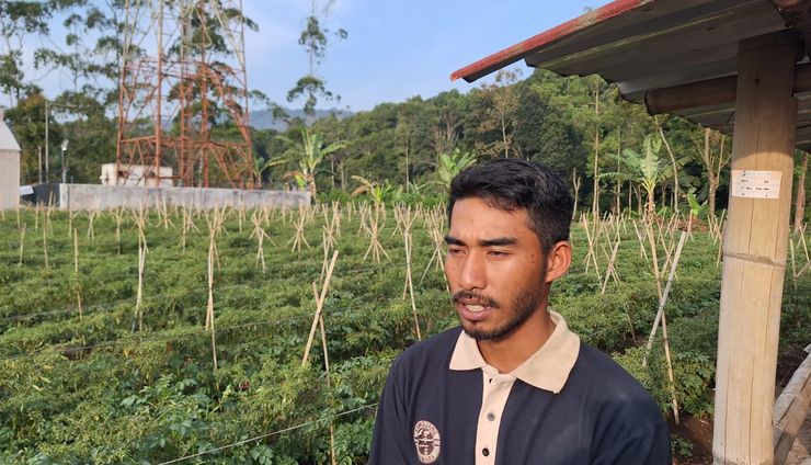 Panas Bumi Kamojang Sokong Dapur Petani