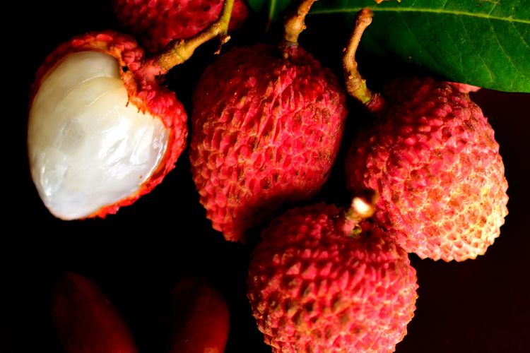 Ilustrasi buah leci, lychee.