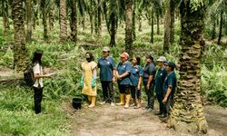 Berdayakan Petani Swadaya, Musim Mas Komitmen Keberlanjutan Industri Kelapa Sawit