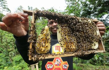Omzet Rp 30 Juta Per Bulan, Slamet Suryadi Sukses Berbisnis Madu ...