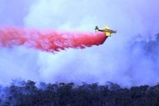Kebakaran Hutan Australia Ancam Kota Melbourne
