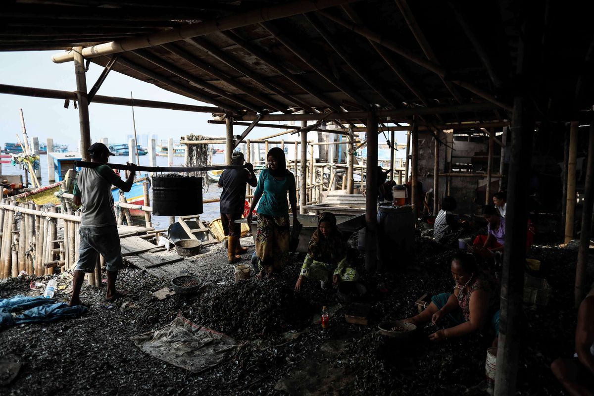 Warga kampung kerang hijau sedang mengupas kerang hasil budidaya nelayan yang ada di Muara Angke, Penjaringan, Jakarta Utara, Jumat (5/7/2019). Kawasan ini merupakan sentra pengolahan kerang hijau yang ada di bibir pantai utara Jakarta.