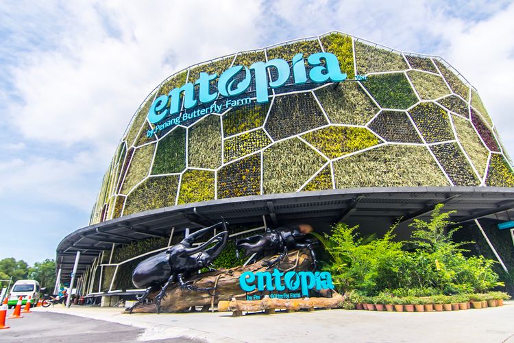 Entopia, peternakan kupu-kupu di Penang, Malaysia.
