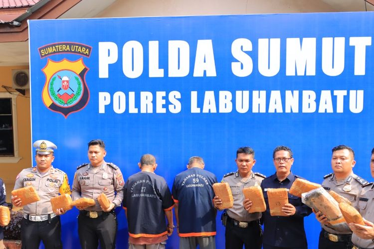 Polisi memaparkan pengungkapan 12,6 kg ganja di Labuhanbatu yang menggunakan bus lintas Sumatera untuk proses pengirimannya 
