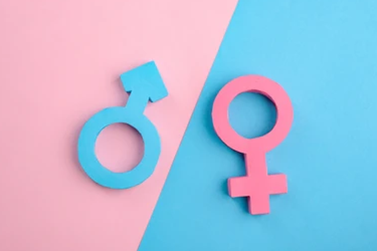 Jenis kelamin dibagi menjadi dua yakni laki-laki dan perempuan. 