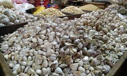 Ini Langkah Mentan Amran Terkait Kasus Suap Impor Bawang Putih