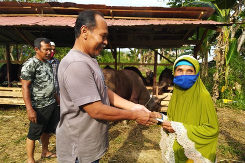 Kisah Nenek Penyapu Jalan Kurban Sapi dan Kambing Hasil Menabung 15 Tahun