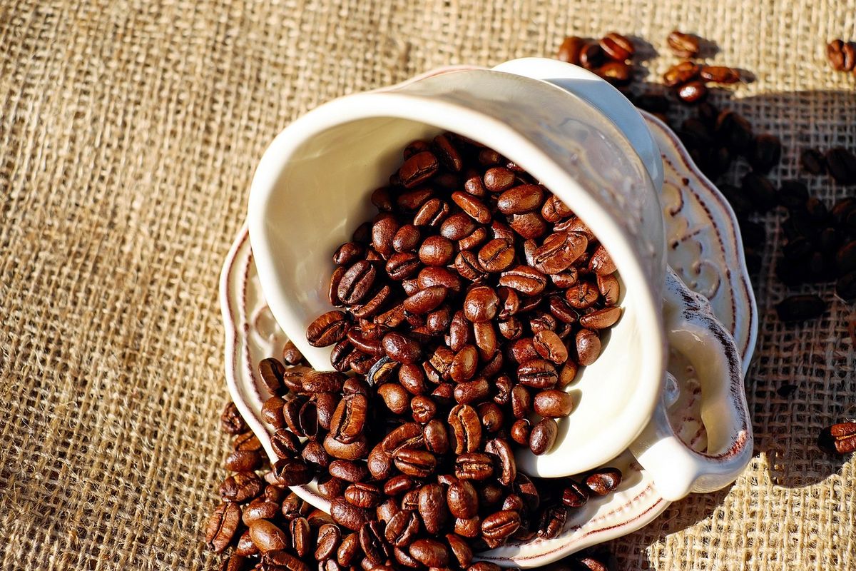 Brasil, Vietnam, Kolombia, Ethiopia, dan Indonesia alami rata-rata 57 hari panas berbahaya per tahun. Kondisi ini picu kenaikan harga kopi dunia.