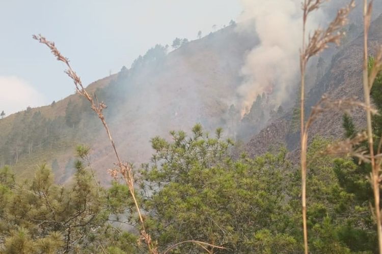 Dok BPBD Magelang: tangkapan layar instagram BPBD Magelang yang memperlihatkan lereng gunung Andong terbakar, Ada 11 titik api yang terpantau petugas. 