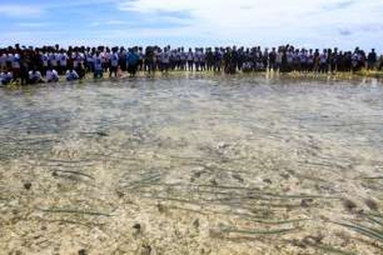 Peserta Festival Manee menunggu petunjuk untuk menangkap ikan secara bersama-sama di Pulau Intata, Talaud, Sulawesi Utara. Tahun 2016 Talaud menggelar festival serupa di Pulau Miangas.