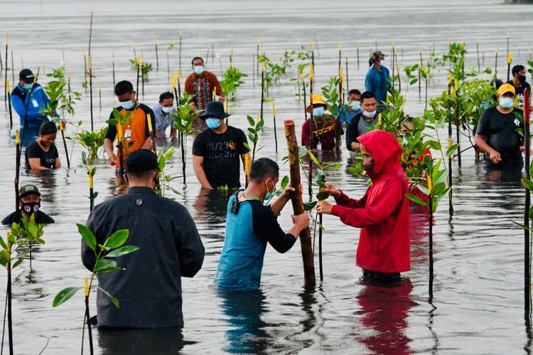 Presiden Joko Widodo melakukan penanaman mangrove bersama masyarakat di Pantai Setokok, Batam, Kepri, Selasa (28/09/2021).