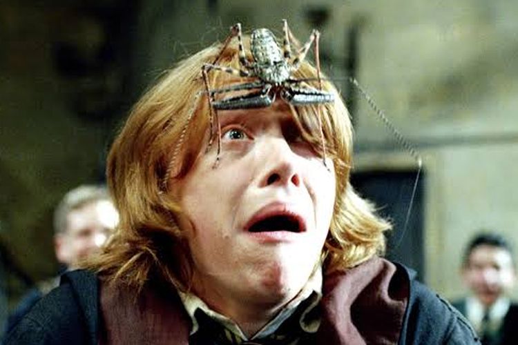 Potongan adegan Ron Weasley yang mengidap arachnophobia di film Harry Potter.