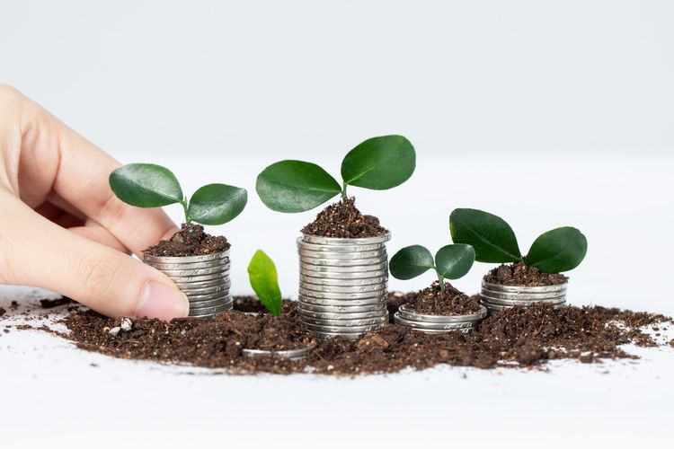 Deloitte Rilis Metode Baru untuk Ukur Nilai Investasi Keberlanjutan