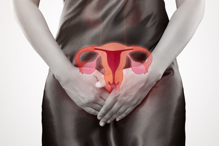 Ilustrasi organ reproduksi wanita bisa terserang kanker serviks, kanker rahim, kanker ovarium, kanker tuba falopi, kanker vagina, dan kanker vulva.