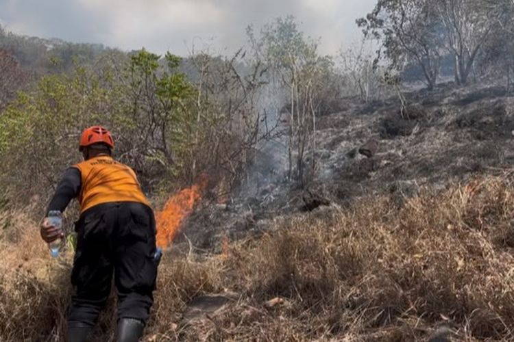 Gubes Unair Ungkap Penyebab Karhutla Kalimantan, Bukan karena El Nino