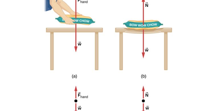 Kichik jinsiy olatli transseksuallar Shaxsiy porno video xxx