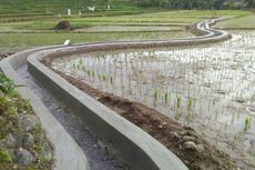 Kementan Dukung Petani dengan KUR, Pengamat: Pertanian Tumbuh Positif di Kuartal II