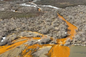 Ilmuwan Terus Selidiki Penyebab Sungai di Alaska Berubah Jadi Oranye