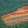 1,5 Miliar Hektar Lahan Terancam Terdegradasi pada 2030