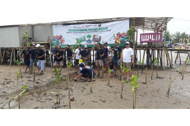 Munas ISC juga mengadakan kegiatan penanaman mangrove di kawasan pesisir Kabupaten Indramayu, Jawa Barat. 
