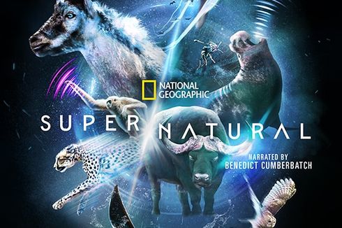 Sinopsis Super/Natural, Serial Alam Liar Terbaru National Geographic