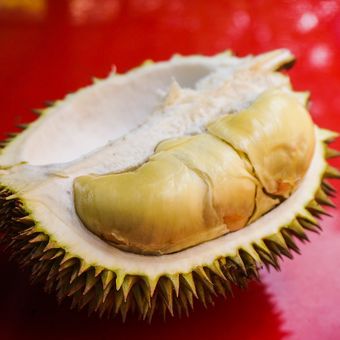 Ilustrasi durian.
