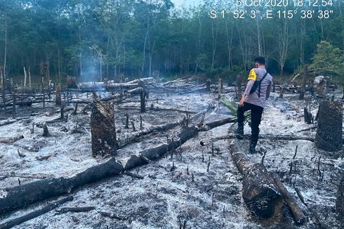 Greenpeace: 4,4 Juta Hektar Lahan Terbakar dalam Karhutla 2015-2019