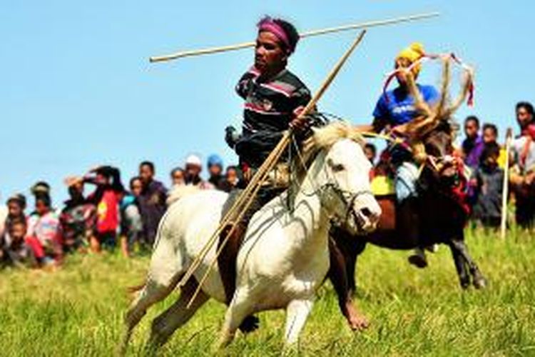 Pasola, tradisi perang-perangan dengan menunggang kuda sambil menyerang lawan dengan lembing di Pulau Sumba, Nusa Tenggara Timur. 