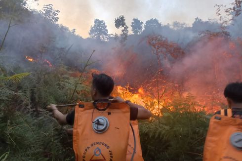 3 Karhutla di Nunukan, Diperkirakan 5 Hektar Lahan Hangus Terbakar