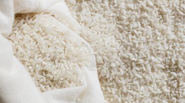 Ternyata Ini Penyebab Kenaikan Harga Beras Premium di Jakarta