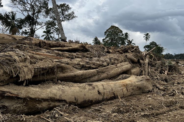 Gelondongan kayu di Desa Garoga, Tapanuli Selatan yang hilang ditelan banjir dan longsor, Sabtu (6/12/2025)