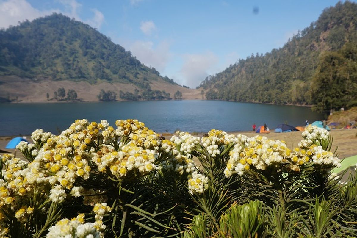 Pemandangan Ranukumbolo di Gunung Semeru.